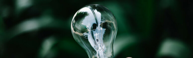 Close-up photograph of a hand holding a clear light bulb, with a reflection of greenery visible in the glass. The blurred background consists of dark green leaves, providing contrast to the light bulb.