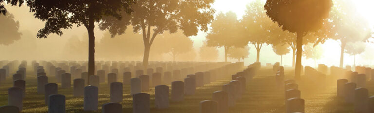 Photograph of a cemetery at sunrise, with rows of gravestones shaded by trees and the soft morning light filtering through the mist, creating a peaceful and serene atmosphere.