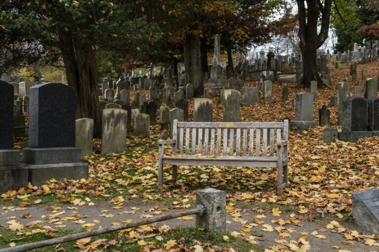 Photograph of a cemetery in autumn, with a wooden bench surrounded by fallen leaves. Numerous gravestones are scattered across the landscape, shaded by large trees.